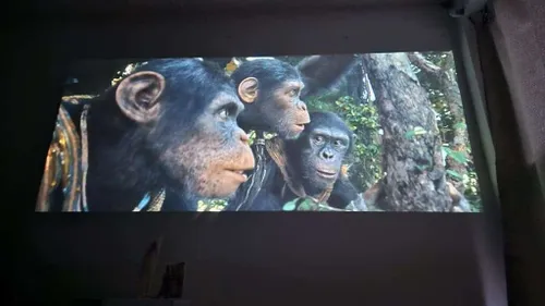 1725686469 1000018297 original