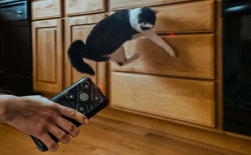 1a520522 2b9a 4949 a7ad 5de130cb82e0 cr0019401200 pt0 sx970 v1