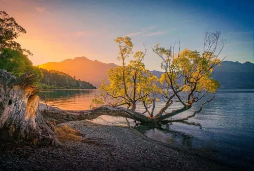 22459b52 f80c 4e1a 8670 dc628b28e0f0