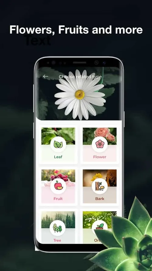 5gbeojg3o gjb fkzvijhwnabta8d5m525zep7bzfnfbs1s43d i 3cmu8p8f39gw1162 h1192 rw