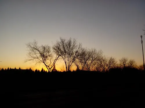 65555 134516280055671 185610895 n