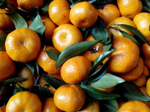 72661 134516423388990 642376786 n