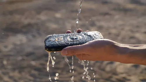 8bf50aa001c120acab0dc56055165068