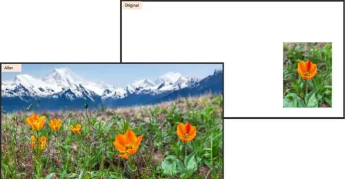 adobe firefly result 1