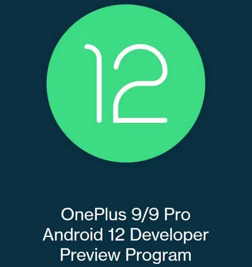 android 12 developer preview 2 for oneplus 9 and oneplus 9 pro