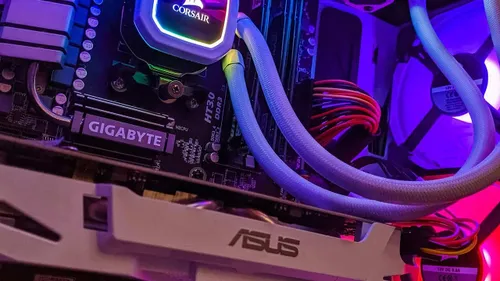 andy holmes eoakuqcsfiu unsplash