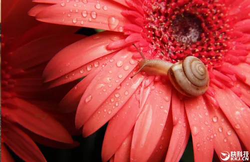 b538a9693c204767a571fb48e28a8126