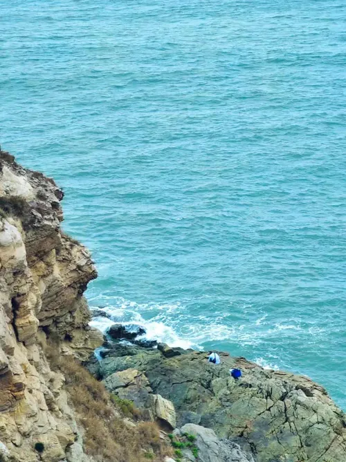 cc9eb9b1cf2 d977 427c 86dd 87f3964e0c3d