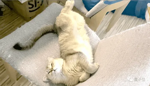 ce05cc57 39f5 45a5 887a 8263c9633615