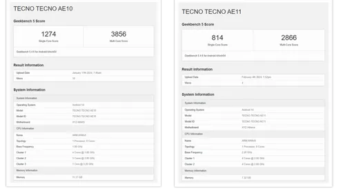 collage e1713084064470