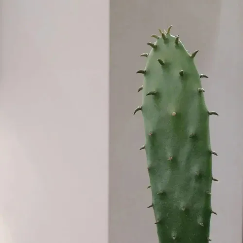 d196ffc6 14ed 4f7c 944d 107f0579377e