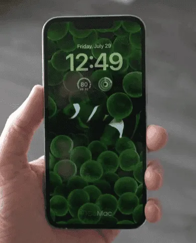 d72232a861ad40d88b34fd26a1622e2a