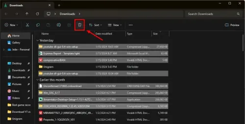 delete files e1706013273652