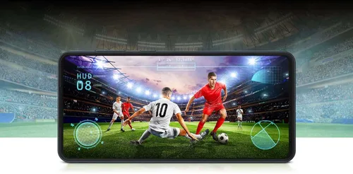 display of galaxy m55