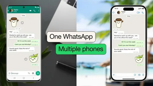 english whatsapp multi phone