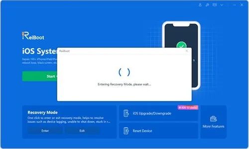 enter recovery mode for boot loop