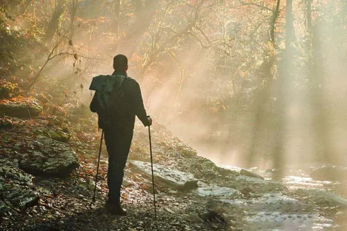 f150 bison 2021 0002