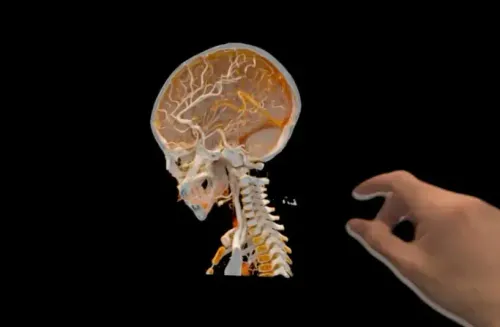 f9920bac4af 55c2 4b60 b656 11312f3e6368