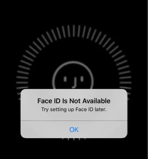 face id is not available 540x580 2
