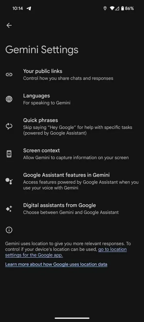gemini assistant
