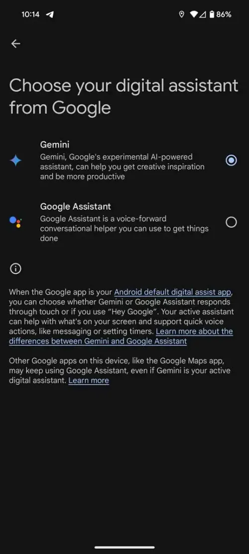 gemini assistant1