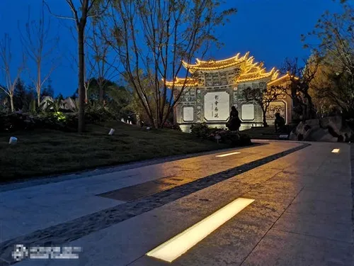 honor 20 series image