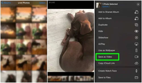 how to post a live photo on instagram save setting