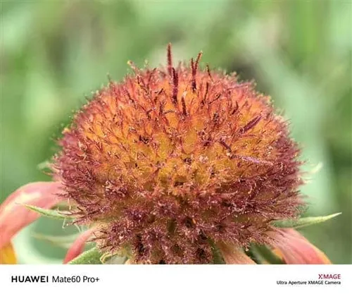 huawei mate60 series b