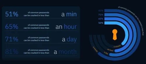 image 94 61 1024x453 1