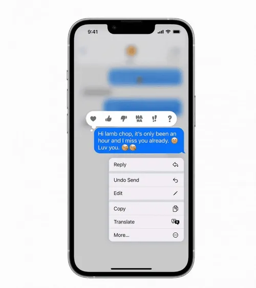 imagem 2022 06 06 173111081