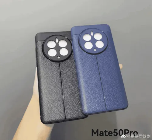 imagem 2022 07 31 163216579