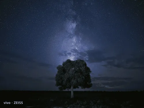 imagem 2022 10 24 212805647