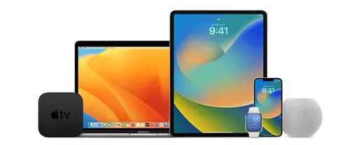 imagem 2022 10 24 221657726