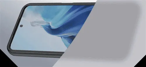 imagem 2022 11 27 140424430