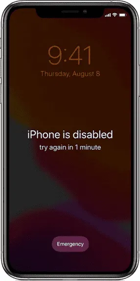 imagem 2022 12 05 124329559