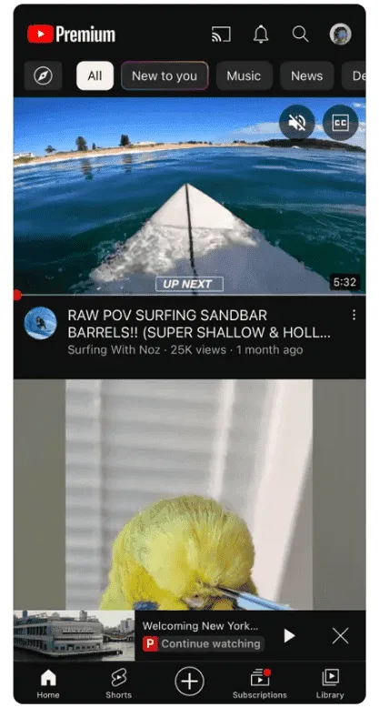 imagem 2023 04 11 140154500