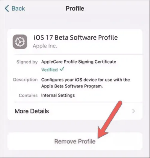 imagem 2023 08 31 170427129