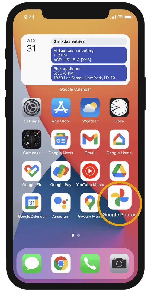 imagem 2024 02 20 174243004