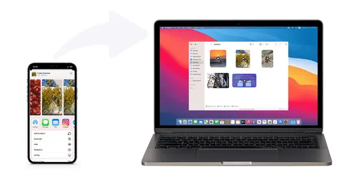 imagem 2024 05 01 105204042