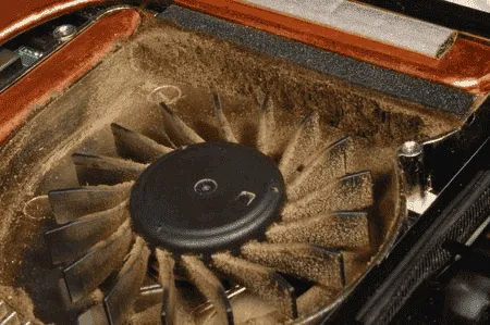 imagem 2024 06 03 194208447