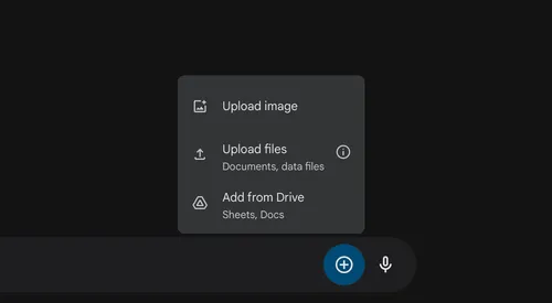 imagem 2024 08 01 230856554