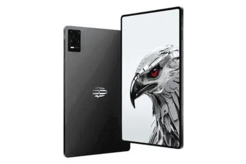 imagem 2024 08 11 020701706