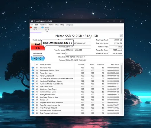 imagem 2024 09 02 031656749