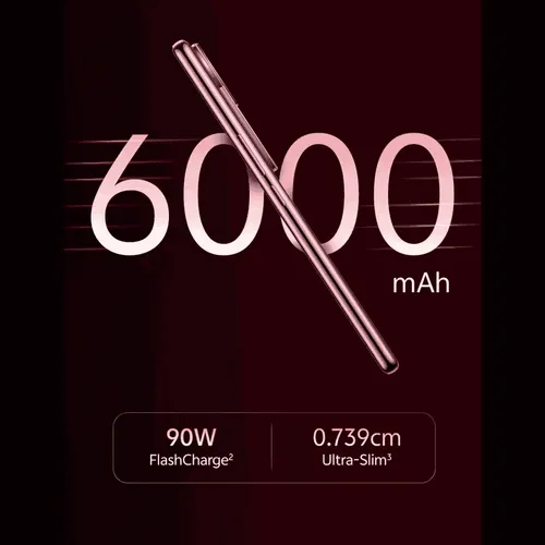 imagem 2025 02 04 095742338