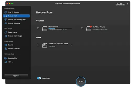 imagem 2025 03 03 000651662