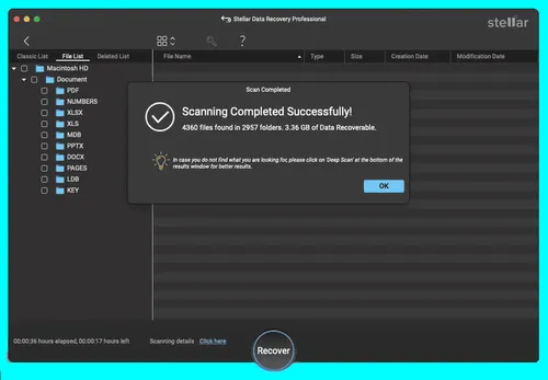 imagem 2025 03 03 001639540