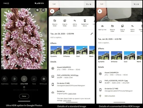 imagem 2025 04 22 155012154
