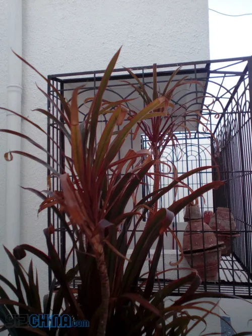 img 20150523 172439 result 16