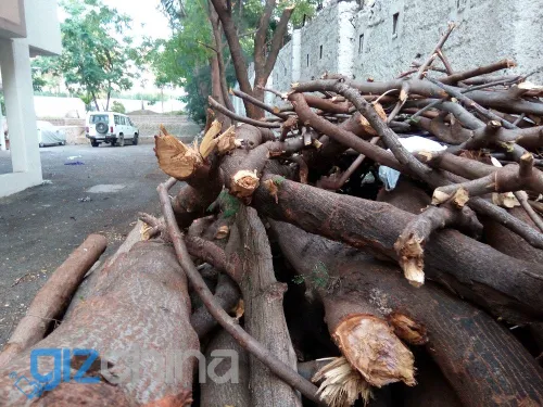 img 20151016 164529 result