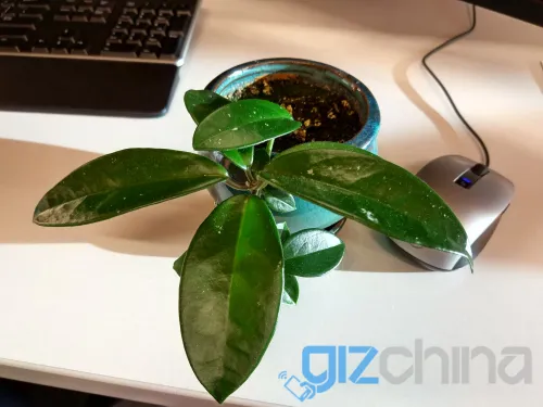 img 20161117 213603 hdr 1